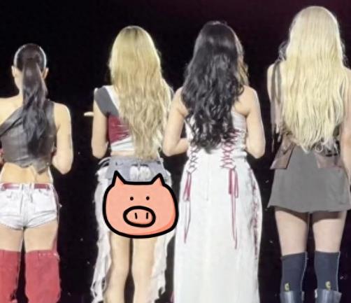 Lisa演唱会舞台服装“太短了？”，有网友支持，有网友认为不合适