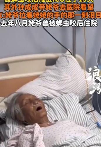 网红徐姥姥被蜱虫咬伤住进ICU，姥爷含泪紧握双手去年悲剧竟重演