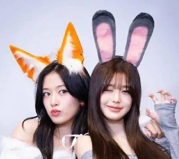 女团爱豆版“尼克朱迪”引关注，有网友为“人设争议”吵翻了？ 