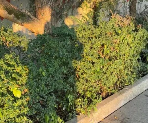 保剑锋发文疑似回应前女友黄慧颐，被曝编辑了7次！ 