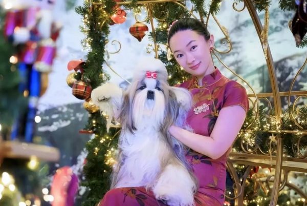 演员霍思燕穿旗袍带西施犬夺冠，杜江连发三个“唯一”！ 