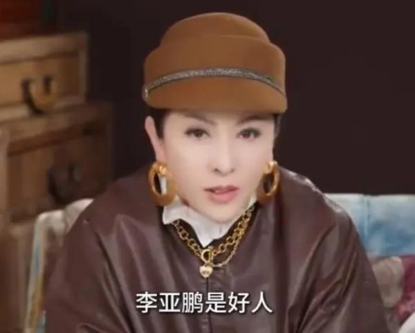 向太谈李亚鹏慈善事业：靠个人的力量是做不到的 