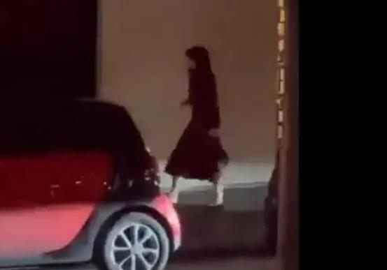 Lisa疑似与弗雷德里克·阿尔诺同入酒店？网友澄清 