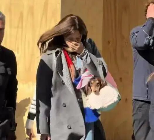 顶级女团成员带宠物狗逛街，爱马仕包袋成其“专属座位” 