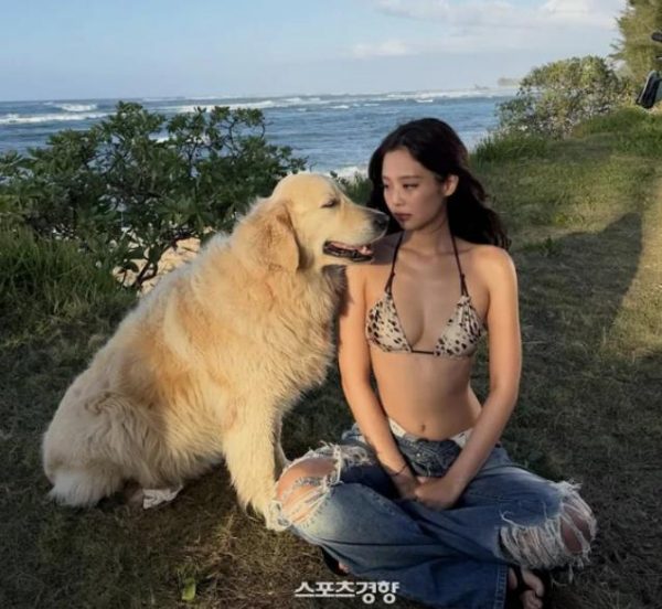 Jennie，身着比基尼奔跑跳舞…湿身造型也完美